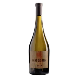 Amador Diez 2017